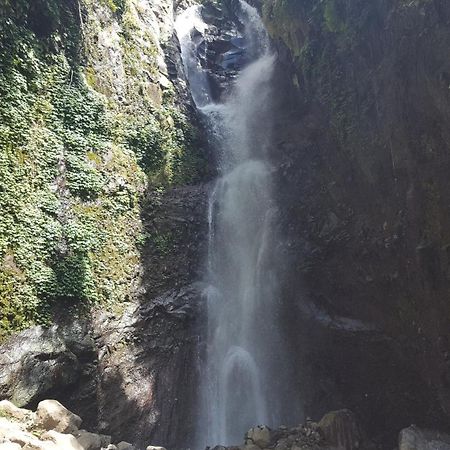Gede'S Homestay Tejakula Exteriér fotografie